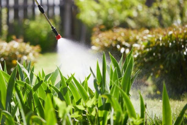 24/7 Emergency Mosquito Control experts in Tracy City, TN